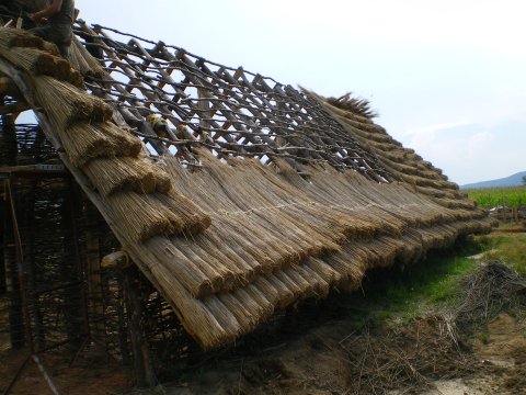Le toit de la maison néolithique.