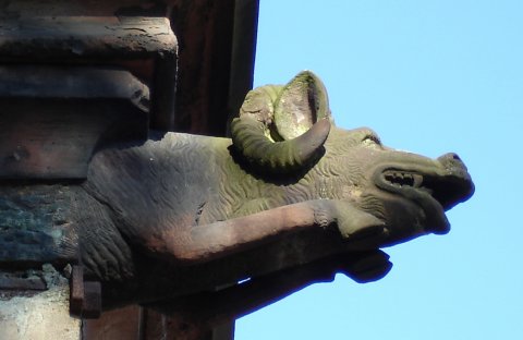 Gargouille de l'église St Nicolas.