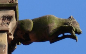 Gargouille de l'église St Georges.