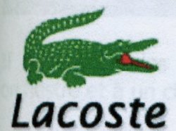 Le célèbre crocodile Lacoste.