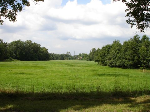 Le vallon du Rotbach où a eu lieu l'attaque.